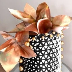 Belsize Cakes Illusion Cake Stencil 7 Belsize Cakes Illusion Cake Stencil -Baking Supplies Store belsize cakes illusion cake stencil p18805 72541 image