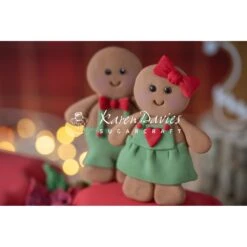 Karen Davies Gingerbread Cookie Mould -Baking Supplies Store karen davies gingerbread cookie mould p12029 37958 image