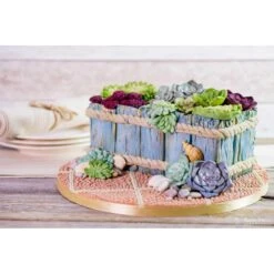 Karen Davies Rustic Driftwood By Alice Mould 18 Karen Davies Rustic Driftwood By Alice Mould -Baking Supplies Store karen davies rustic driftwood by alice mould p8925 30904 image