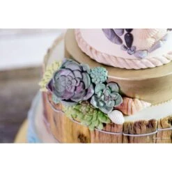 Karen Davies Rustic Driftwood By Alice Mould 28 Karen Davies Rustic Driftwood By Alice Mould -Baking Supplies Store karen davies rustic driftwood by alice mould p8925 30914 image