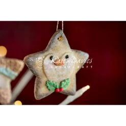 Karen Davies Star Penguin Mould -Baking Supplies Store karen davies star penguin mould p13143 46072 image