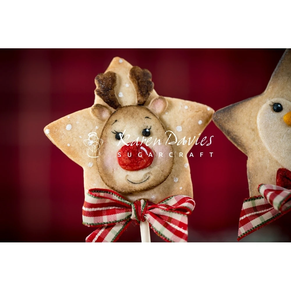 Karen Davies Star Reindeer Mould 4 Karen Davies Star Reindeer Mould - Image 2