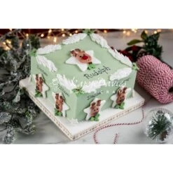 Karen Davies Star Reindeer Mould 15 Karen Davies Star Reindeer Mould -Baking Supplies Store karen davies star reindeer mould p13144 46078 image