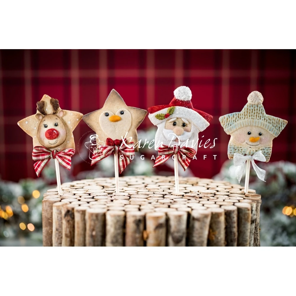 Karen Davies Star Reindeer Mould 8 Karen Davies Star Reindeer Mould - Image 6