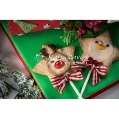 Karen Davies Star Reindeer Mould 20 Karen Davies Star Reindeer Mould -Baking Supplies Store karen davies star reindeer mould p13144 46083 image