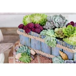 Karen Davies Succulent Mould 15 Karen Davies Succulent Mould -Baking Supplies Store karen davies succulent mould p8485 30962 image