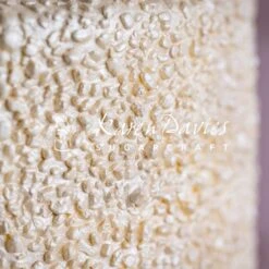 Karen Davies Sugar Crystals Mould 13 Karen Davies Sugar Crystals Mould -Baking Supplies Store karen davies sugar crystals mould p14264 56149 image