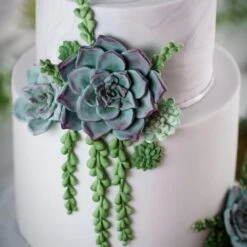 Karen Davies Trailing Leaves Mould 6 Karen Davies Trailing Leaves Mould -Baking Supplies Store karen davies trailing leaves mould p12854 44297 image