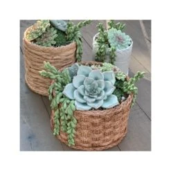 Karen Davies Trailing Leaves Mould 7 Karen Davies Trailing Leaves Mould -Baking Supplies Store karen davies trailing leaves mould p12854 44299 image