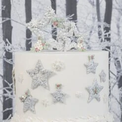 Karen Davies Wicker Stars Mould 19 Karen Davies Wicker Stars Mould -Baking Supplies Store karen davies wicker stars mould p18523 70515 image