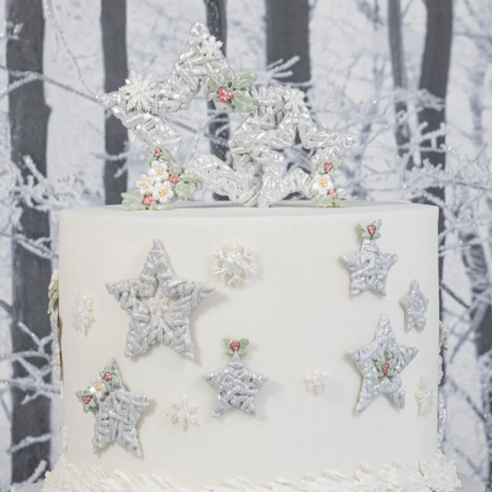 Karen Davies Wicker Stars Mould 11 Karen Davies Wicker Stars Mould - Image 9