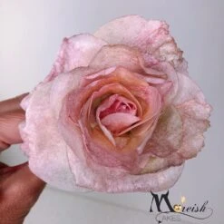 Moreish Cakes More Curl - Wafer Paper Spray 75ml -Baking Supplies Store moreish cakes more curl wafer paper spray 75ml p13808 51332 image