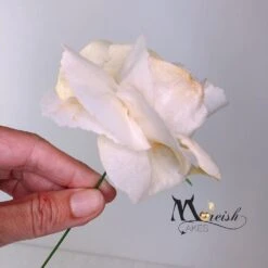 Moreish Cakes More Curl - Wafer Paper Spray 75ml -Baking Supplies Store moreish cakes more curl wafer paper spray 75ml p13808 51334 image