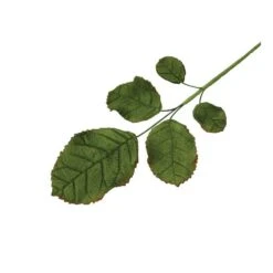 PME Jem Cutters Two - Flower Gumpaste Cutters 11 PME Jem Cutters Two - Flower Gumpaste Cutters -Baking Supplies Store pme jem cutters two flower gumpaste cutters p5838 34219 image