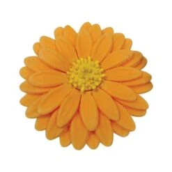 PME Sunflower, Daisy And Gerbera Veined Plunger Cutter - Set 3 8 PME Sunflower, Daisy And Gerbera Veined Plunger Cutter - Set 3 -Baking Supplies Store pme sunflower daisy and gerbera veined plunger cutter set 3 p839 42759 image