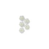 PME White Sugar Blossom Flowers - Pack Of 30 1 PME White Sugar Blossom Flowers - Pack Of 30 -Baking Supplies Store pme white sugar blossom flowers pack of 30 p5275 9424 image