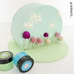 Sugarflair Mini Spectral Pastel Paste Colour Collection (Set Of 10 X 10g ) -Baking Supplies Store sugarflair mini spectral pastel paste colour collection set of 10 x 10g p12671 76053 image