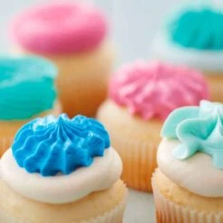 Wilton Cupcake Decorating Set Of 12 -Baking Supplies Store wilton cupcake decorating set of 12 p15489 73081 image